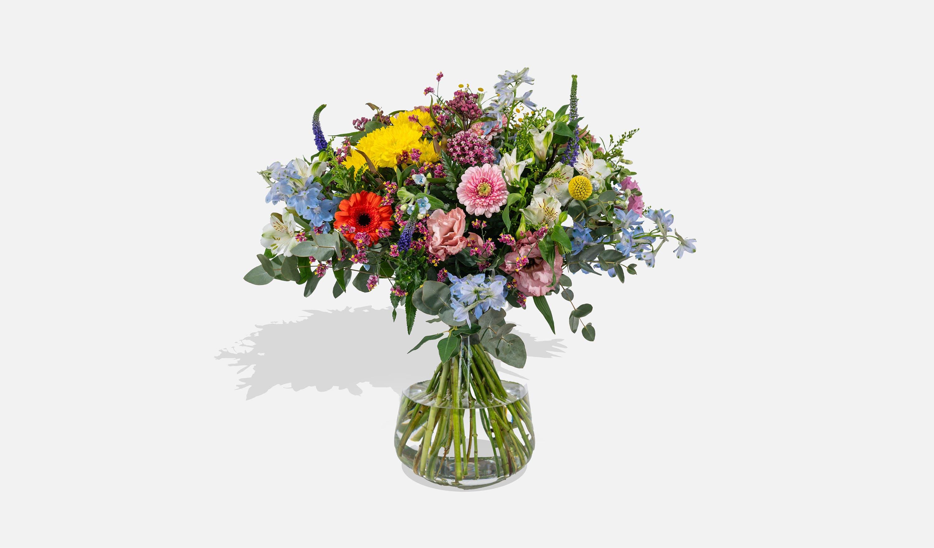 עלמא פרחים • עלמא צבעונית