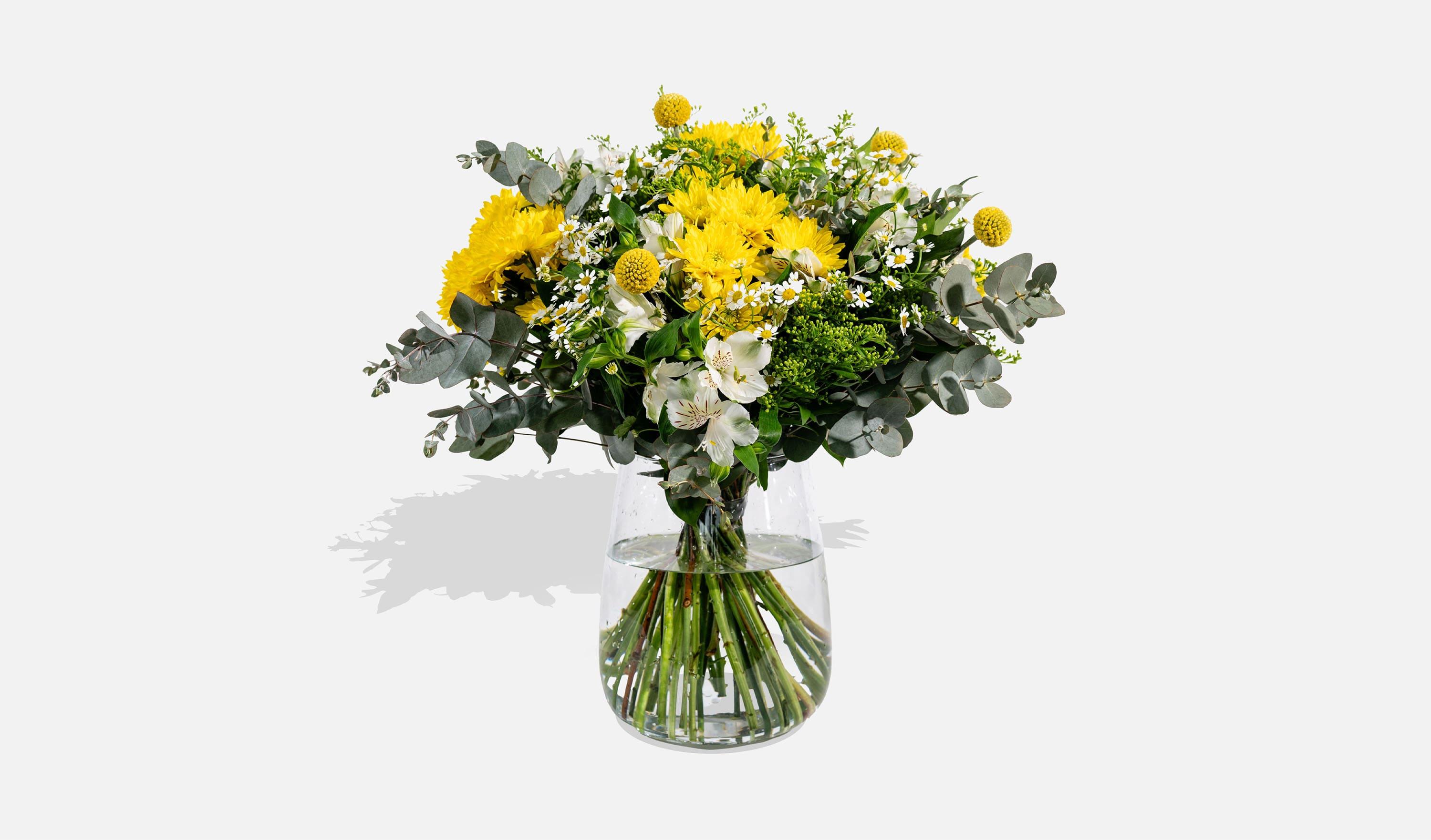 עלמא פרחים • עלמא בצהוב