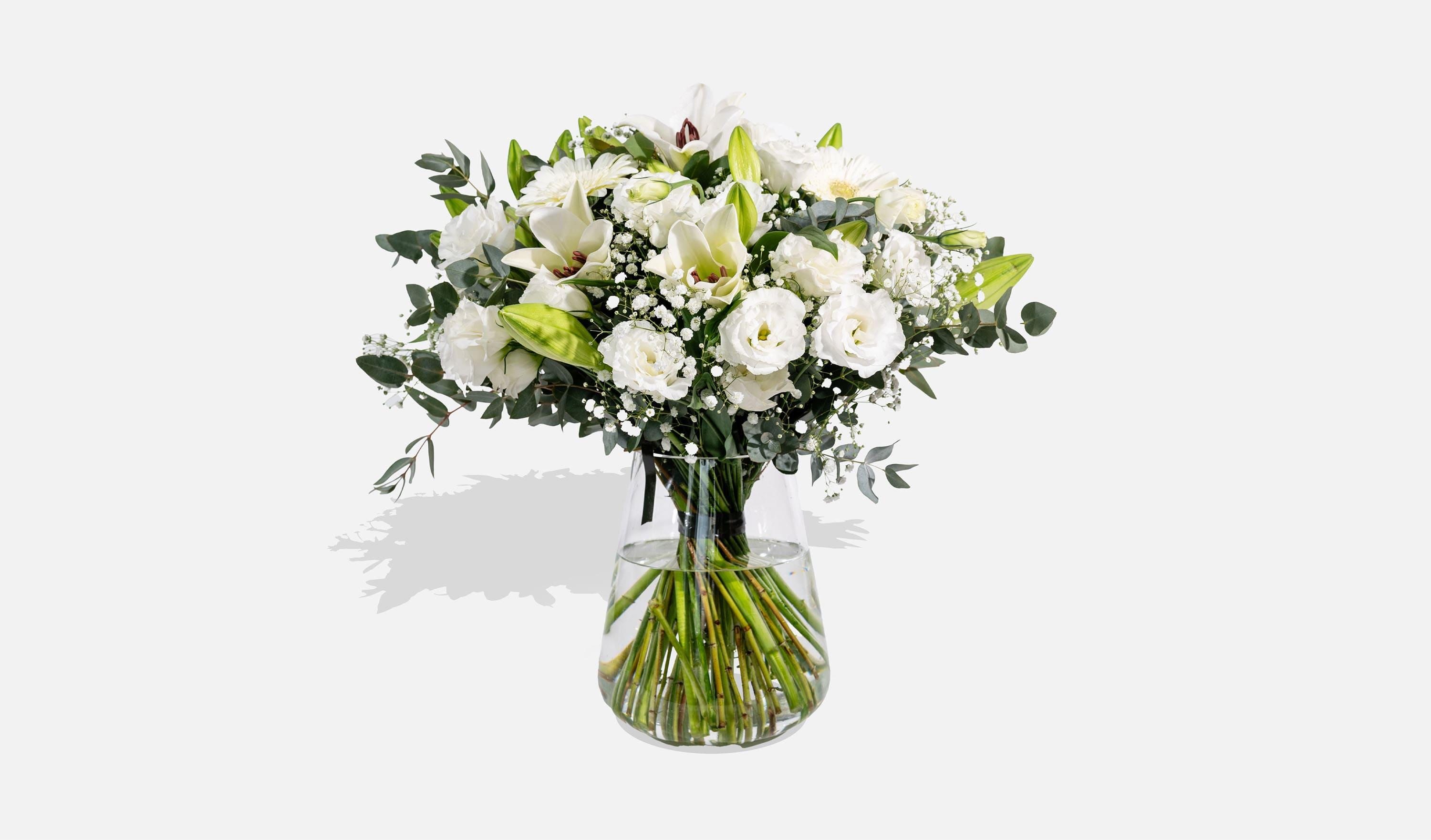 עלמא פרחים • עלמא בלבן